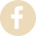 icône facebook